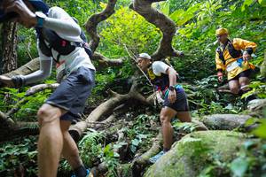 BIB: 
                            <button type="button" onclick="openModal(19407823)" class="btn btn-primary btn-sm float-right btn-popup" data-toggle="modal" data-target=".modal-high-quality">
                        <i class="fas fa-shopping-cart"></i> Add to Cart
                    </button>
                                            <button type="button" onclick="isThisMe(19407823, true)" class="btn btn-success btn-sm float-right btn-popup btn-isme hidden" data-toggle="tooltip" data-placement="bottom" title="นี่คือรูปของคุณใช่ไหม คลิกที่นี่เพื่อเอาเข้าอัลบั้ม">
                        <i class="fas fa-plus"></i> Add to album
                    </button>
                    <button type="button" onclick="isThisMe(19407823, false)" class="btn btn-warning btn-sm float-right btn-popup btn-isnotme hidden">
                        <i class="fas fa-ban"></i> Remove from album
                    </button>